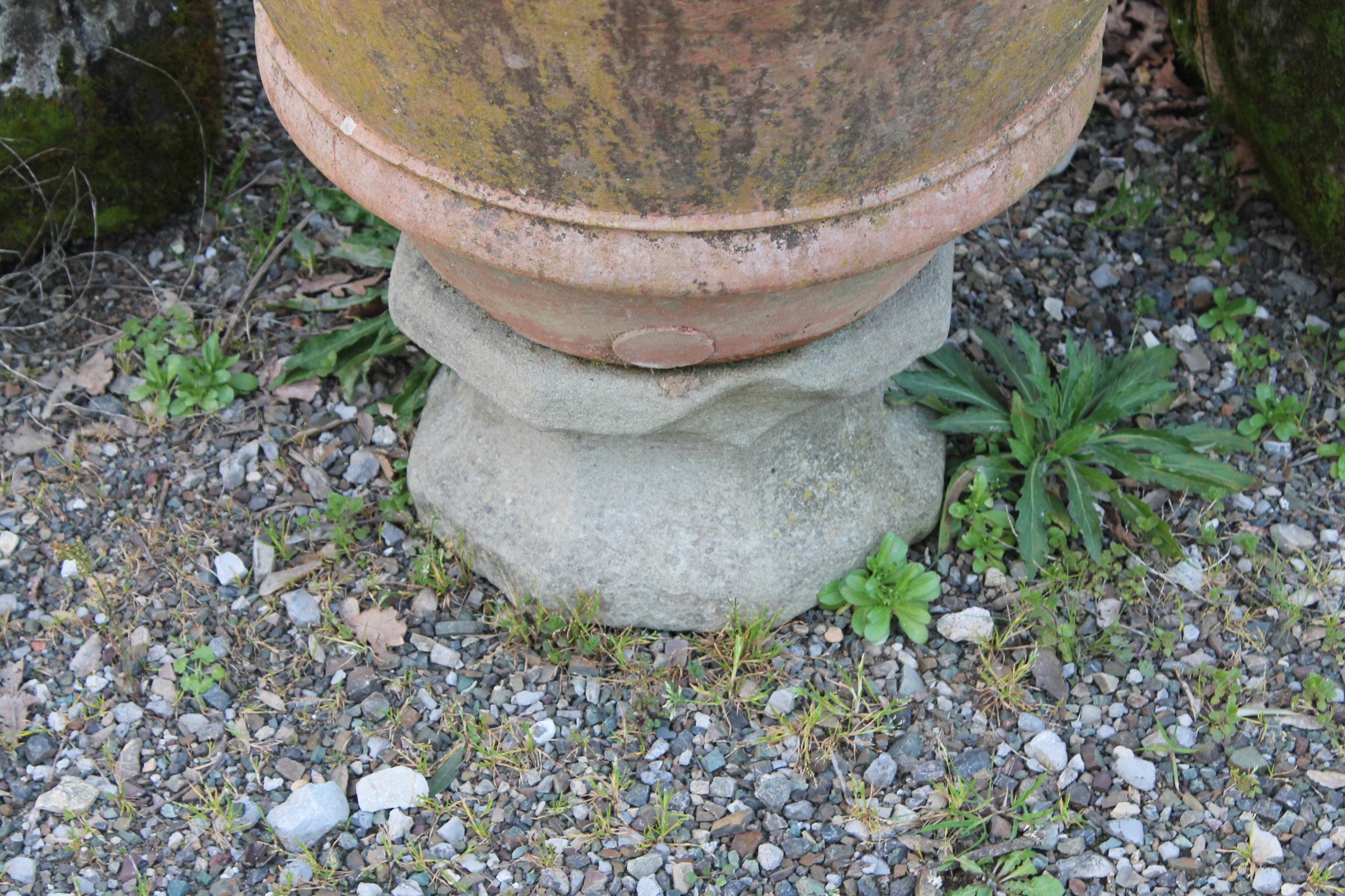 Antique jar from 1876