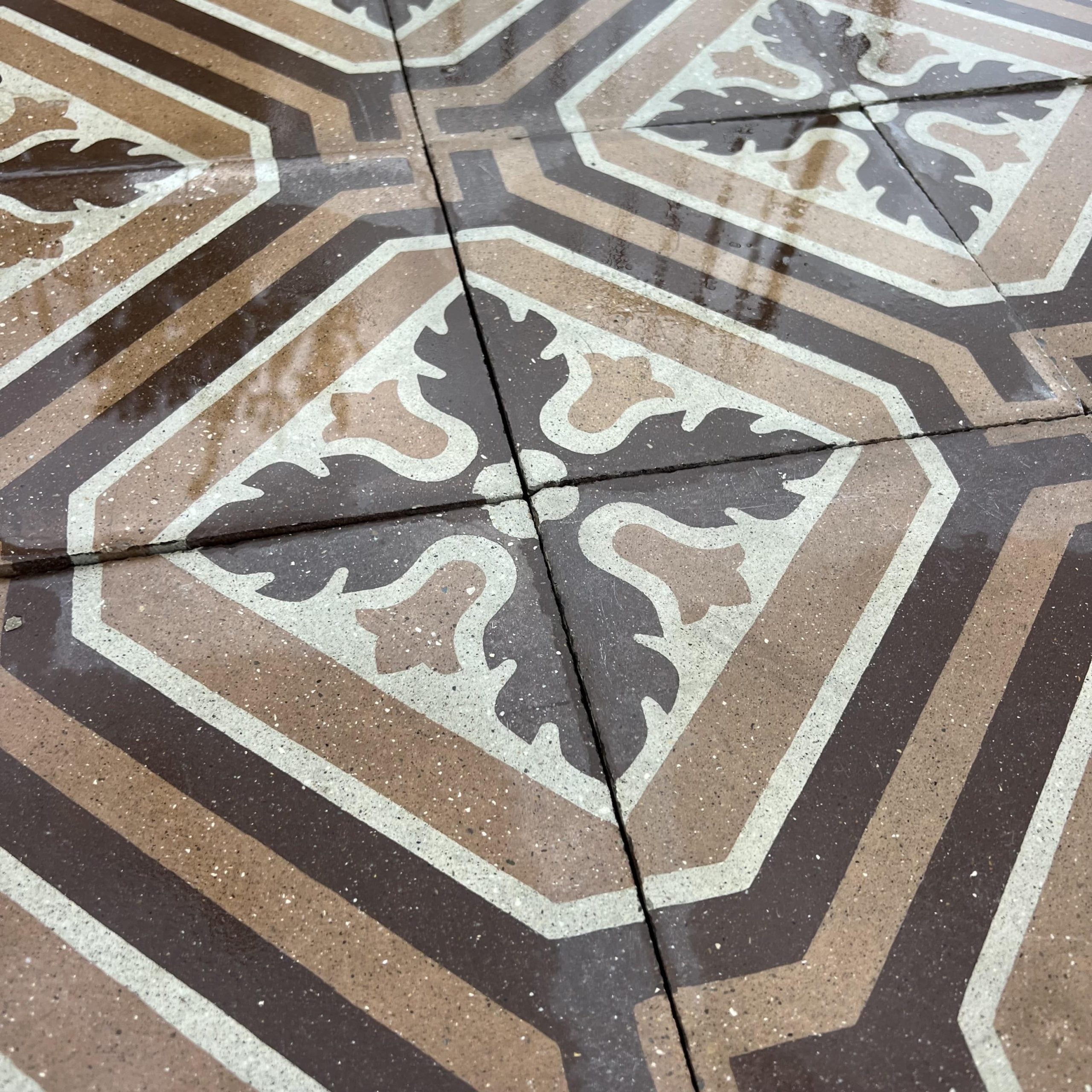 Cementine sui toni del marrone - CEM 093