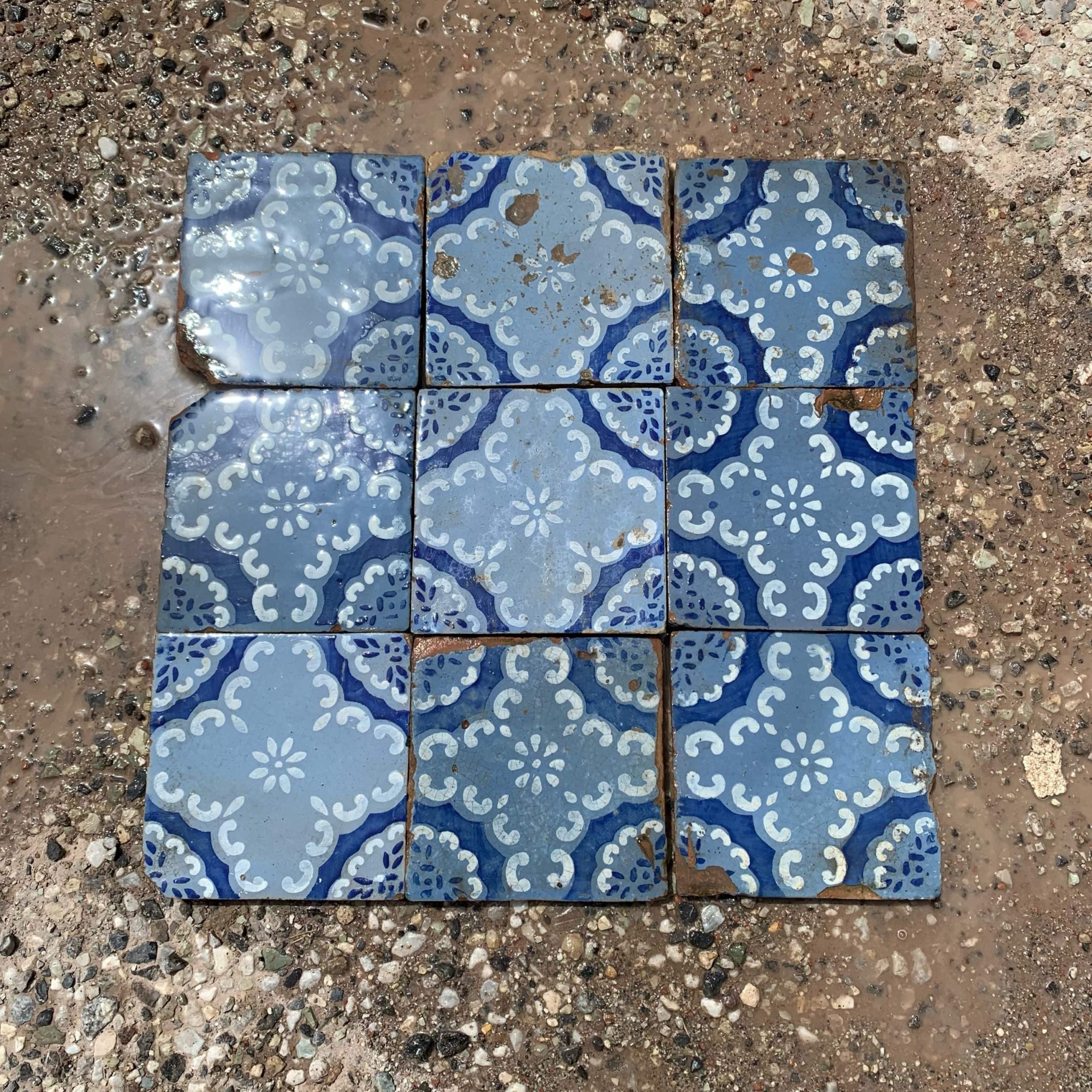 maioliche azzurre con fiore bianco 