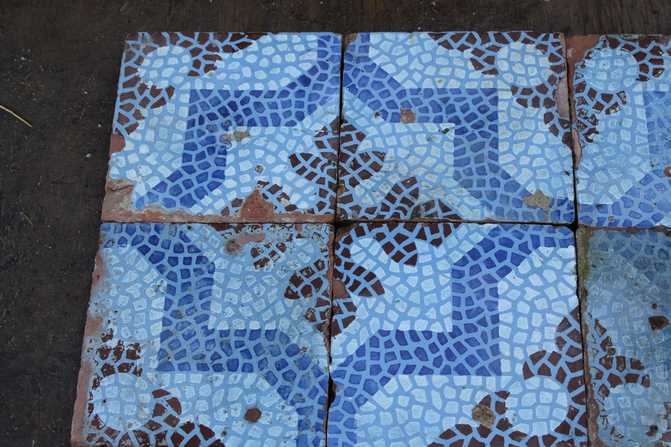 Maioliche blu 