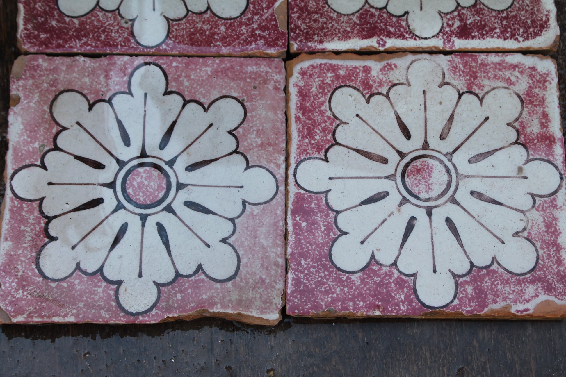Maioliche con fiore bianco 