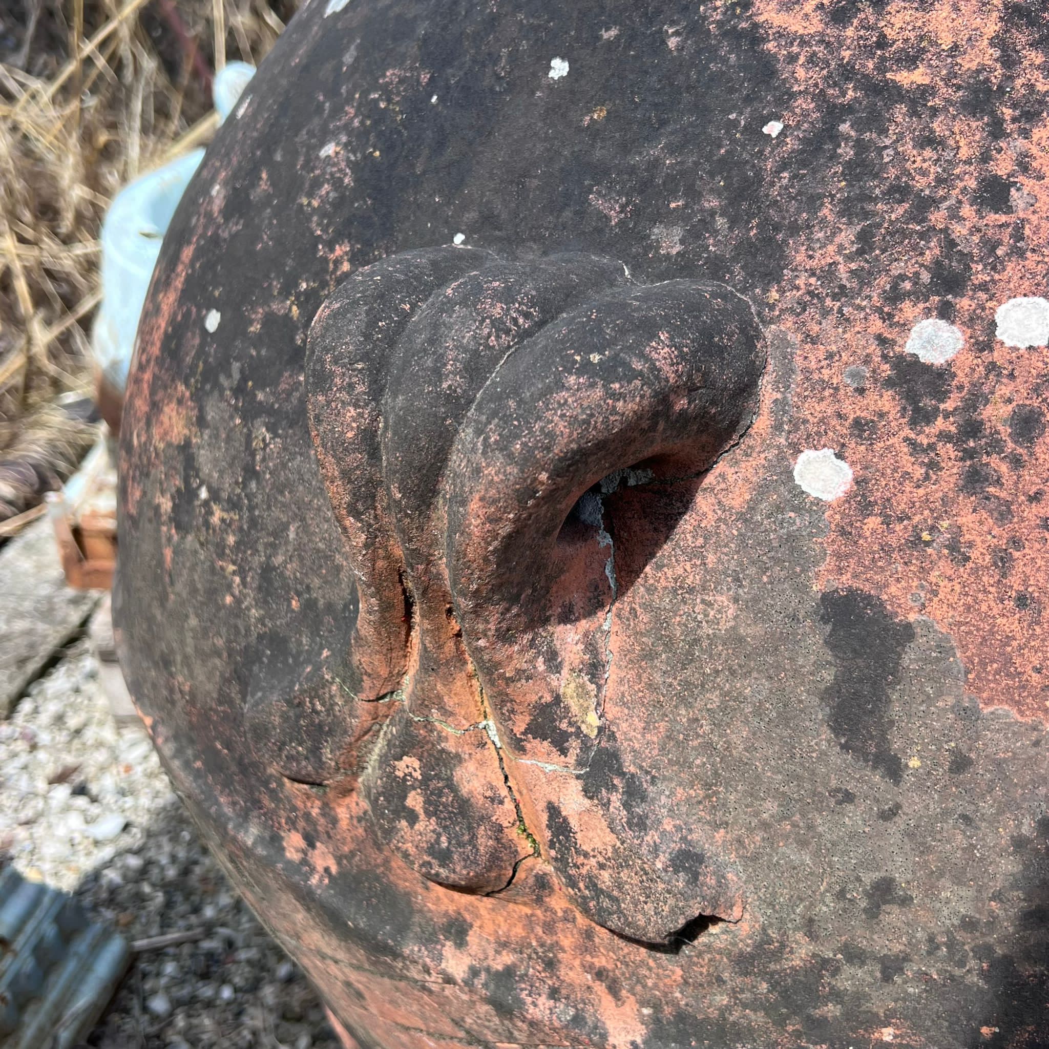 Terracotta jar - F. by Carlo Vanni