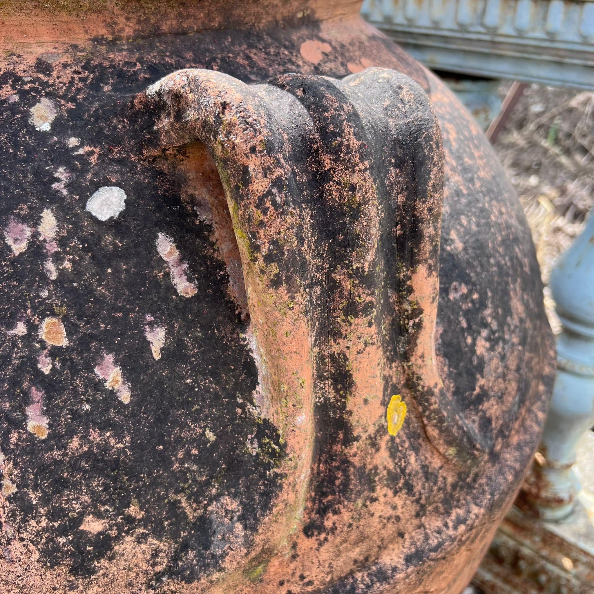 Terracotta jar - diameter 80cm