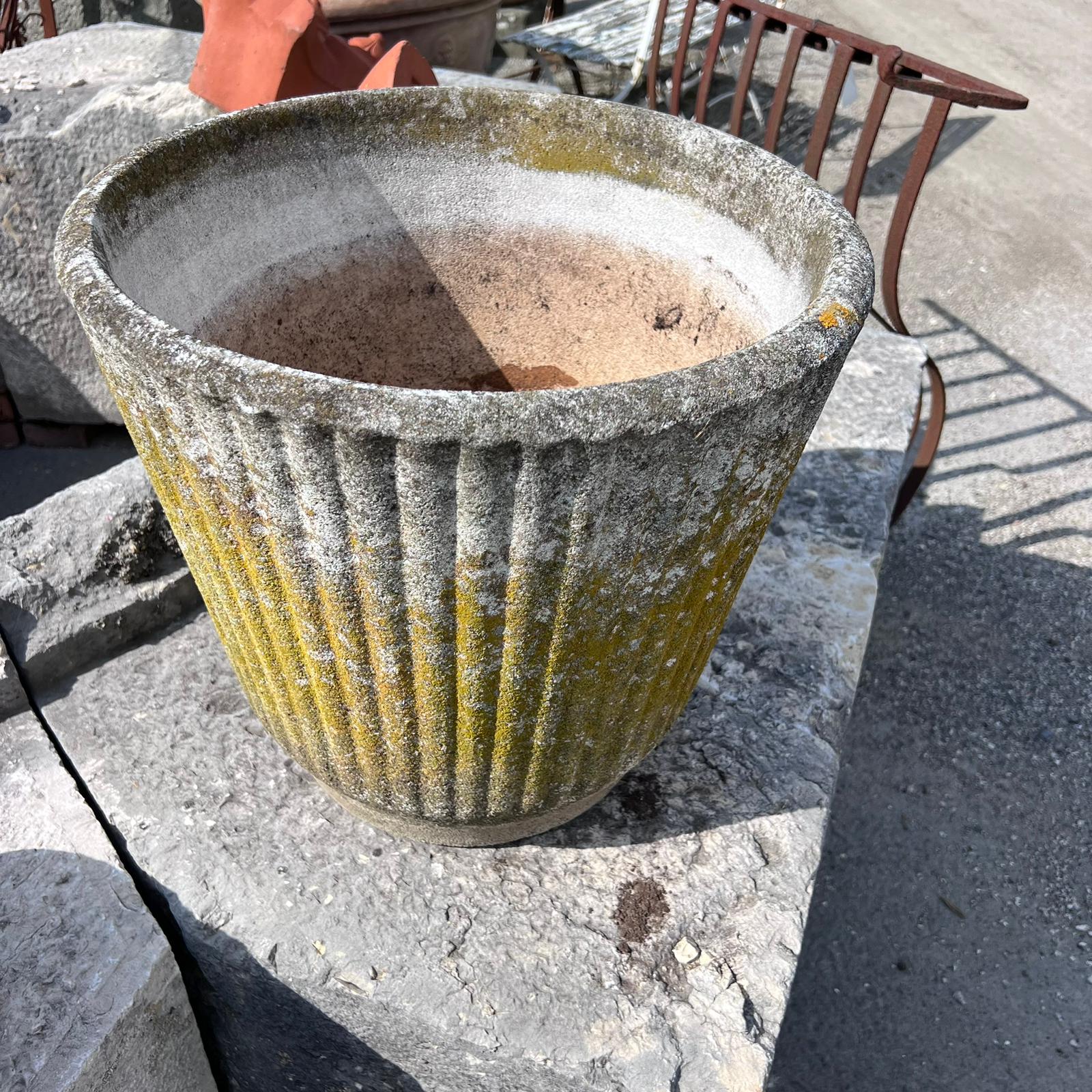 Concrete vase