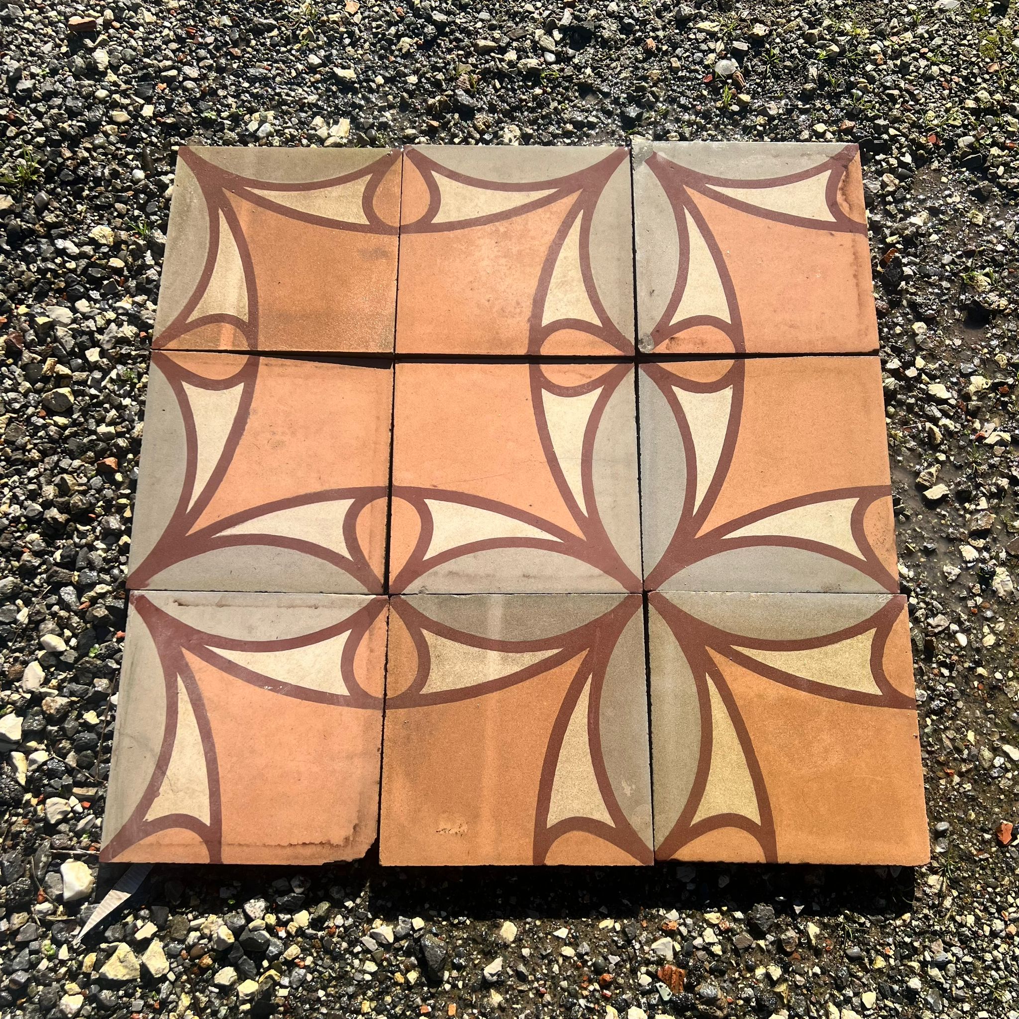 Cementine fiorite - CEM 146