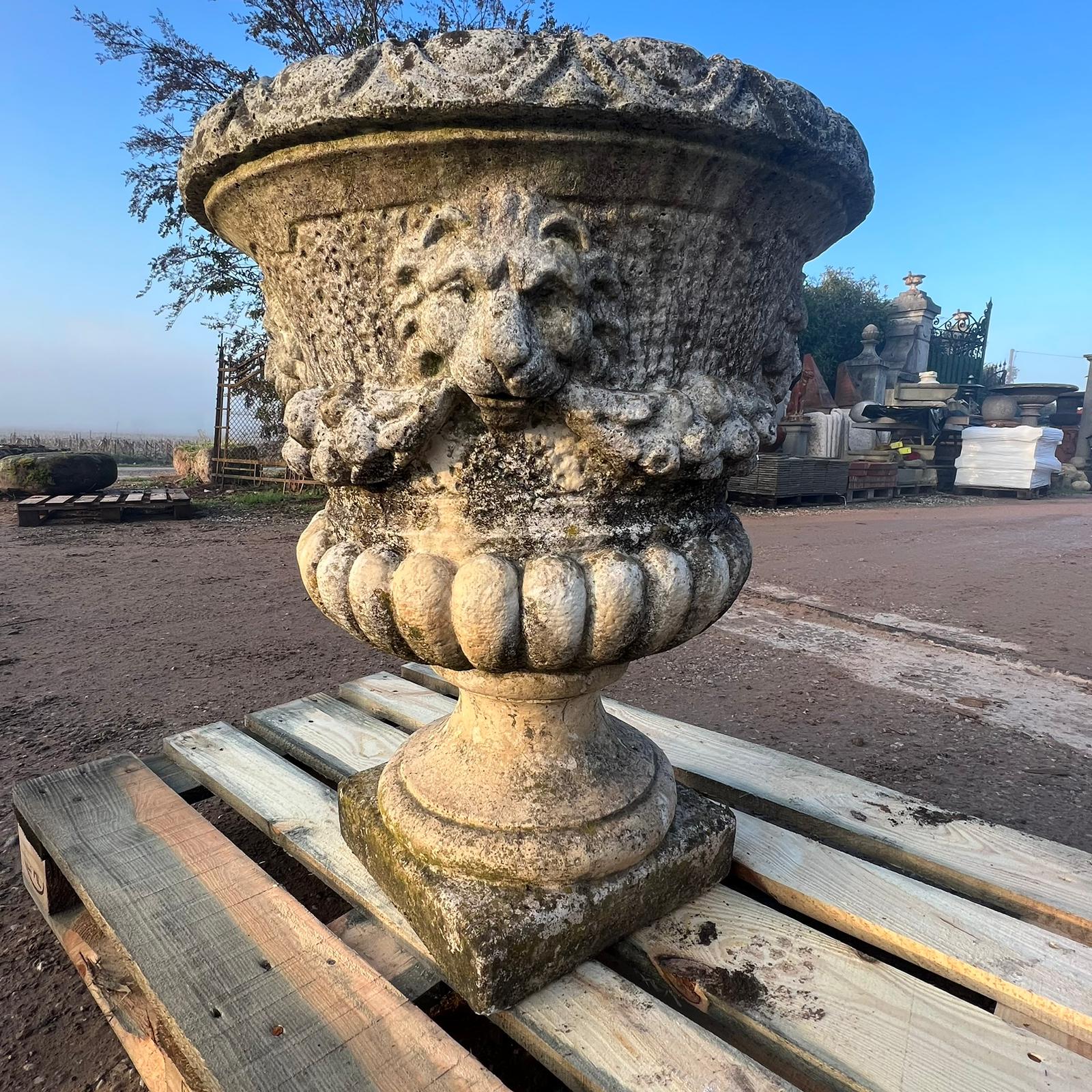 Vaso in cemento con leone