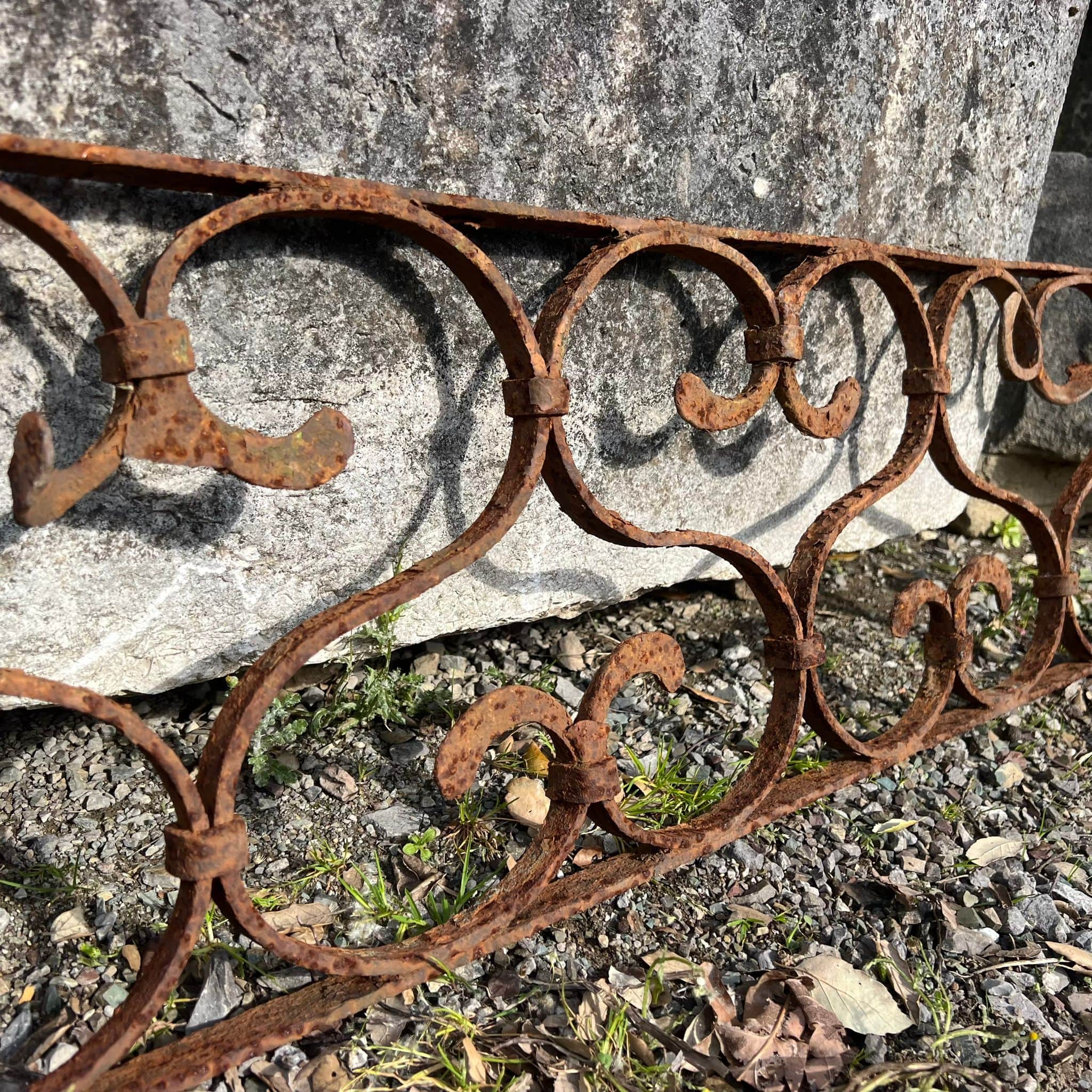 Particolari della rostra 