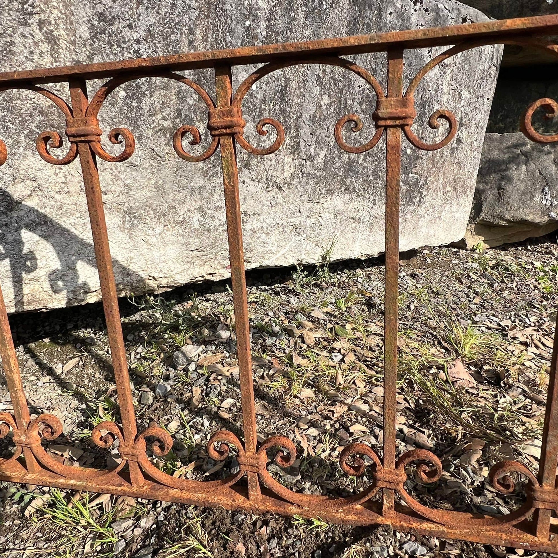 Particolari rostra 