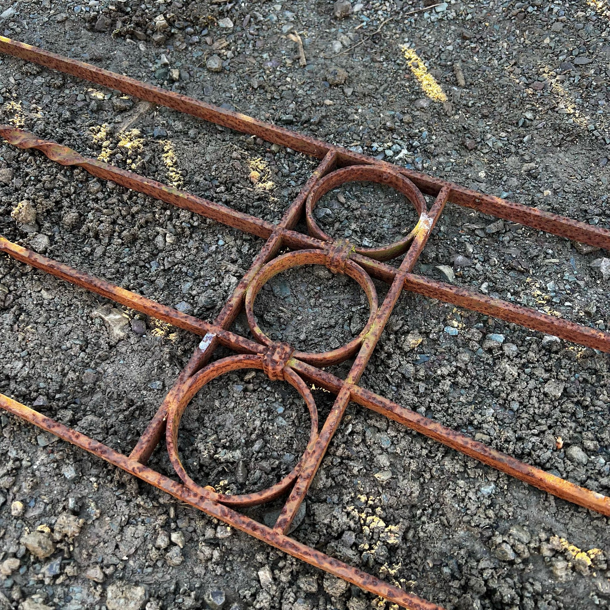 Rostra antica semplice 