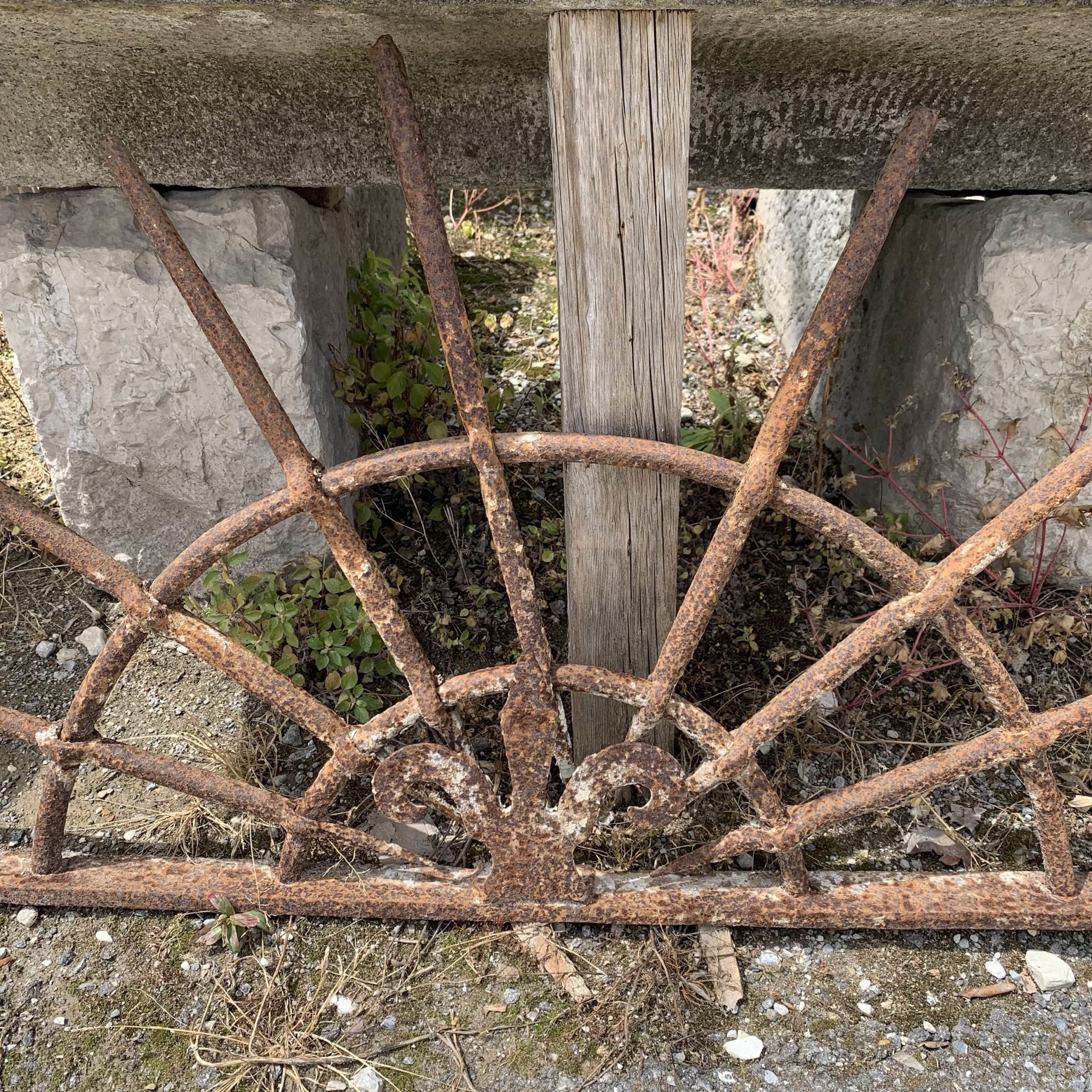 Rostra di ferro vecchia 