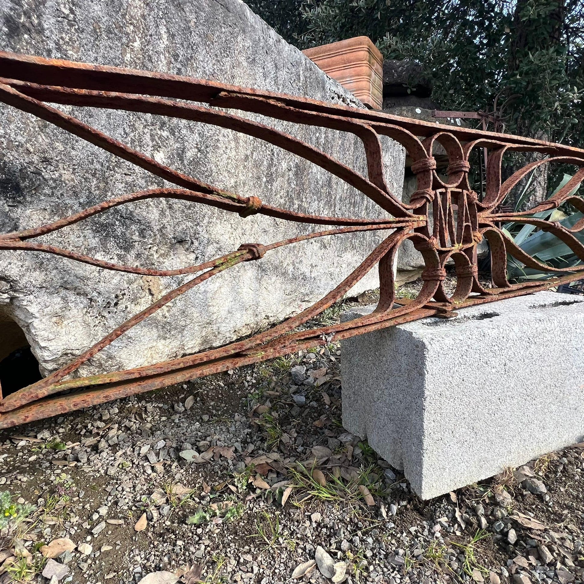 Rostra laterale 