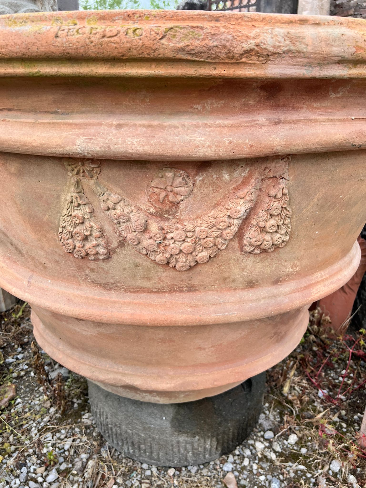 Terracotta festonata 
