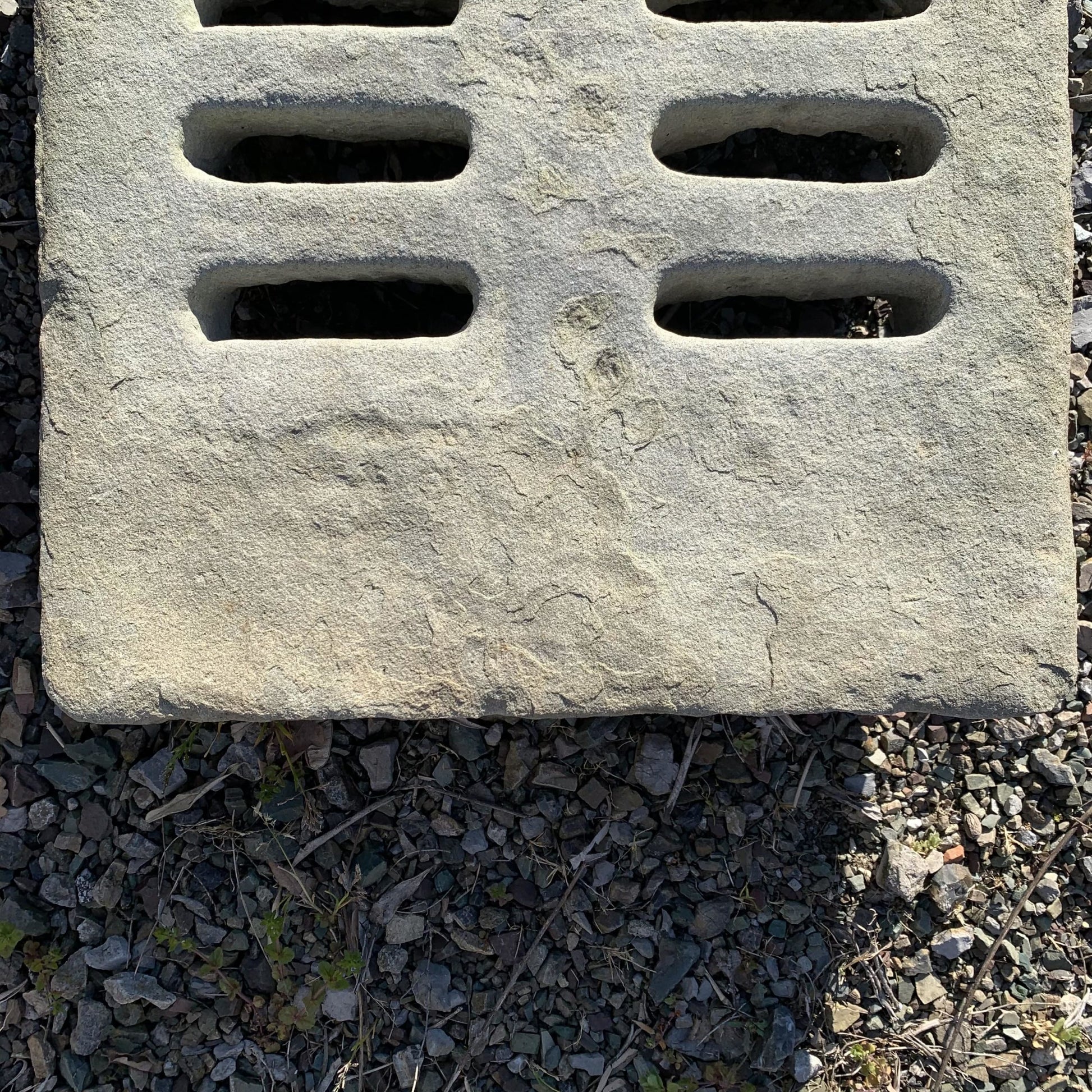 Vecchia caditoia 
