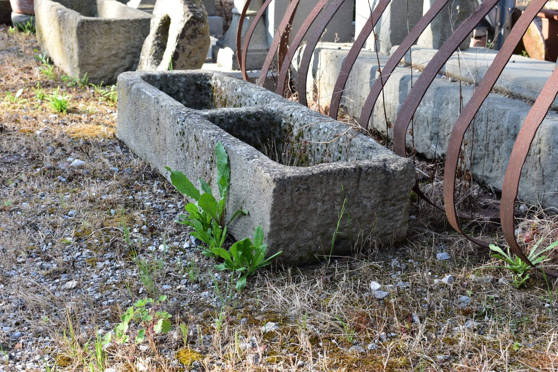 Vecchia vaschetta semplice 