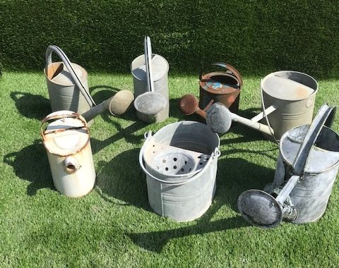 Antique iron buckets and watering cans