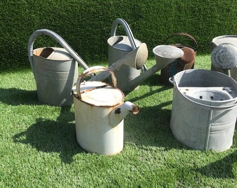 Antique iron buckets and watering cans
