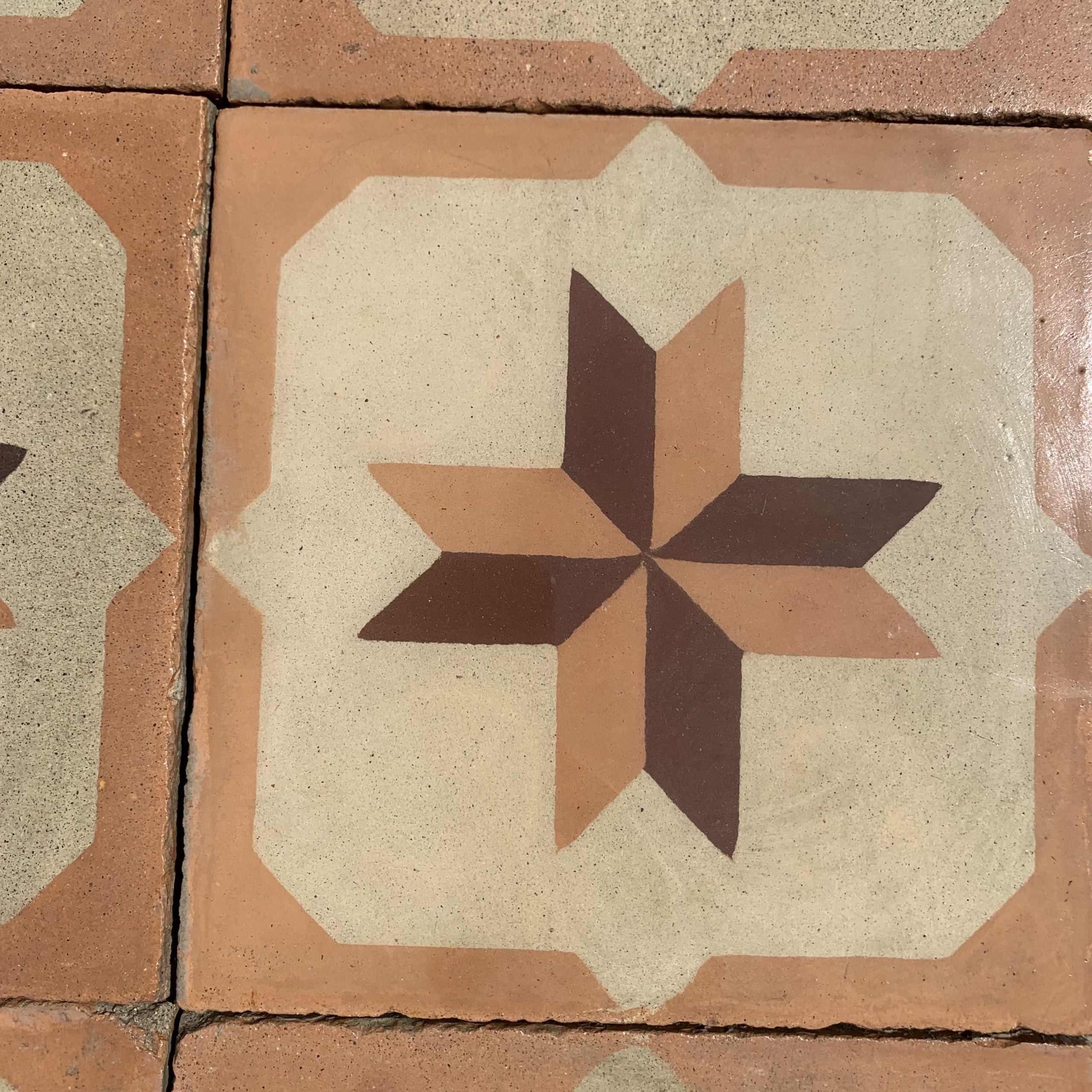 cementina fiore arancio dettaglio 