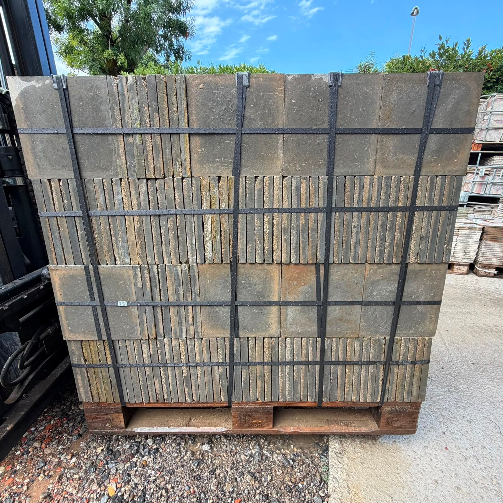 cementine cem 219 dettaglio