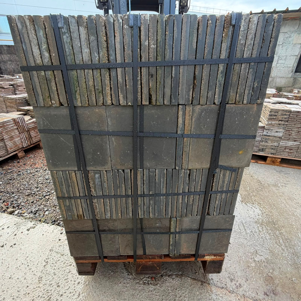cementine cem219