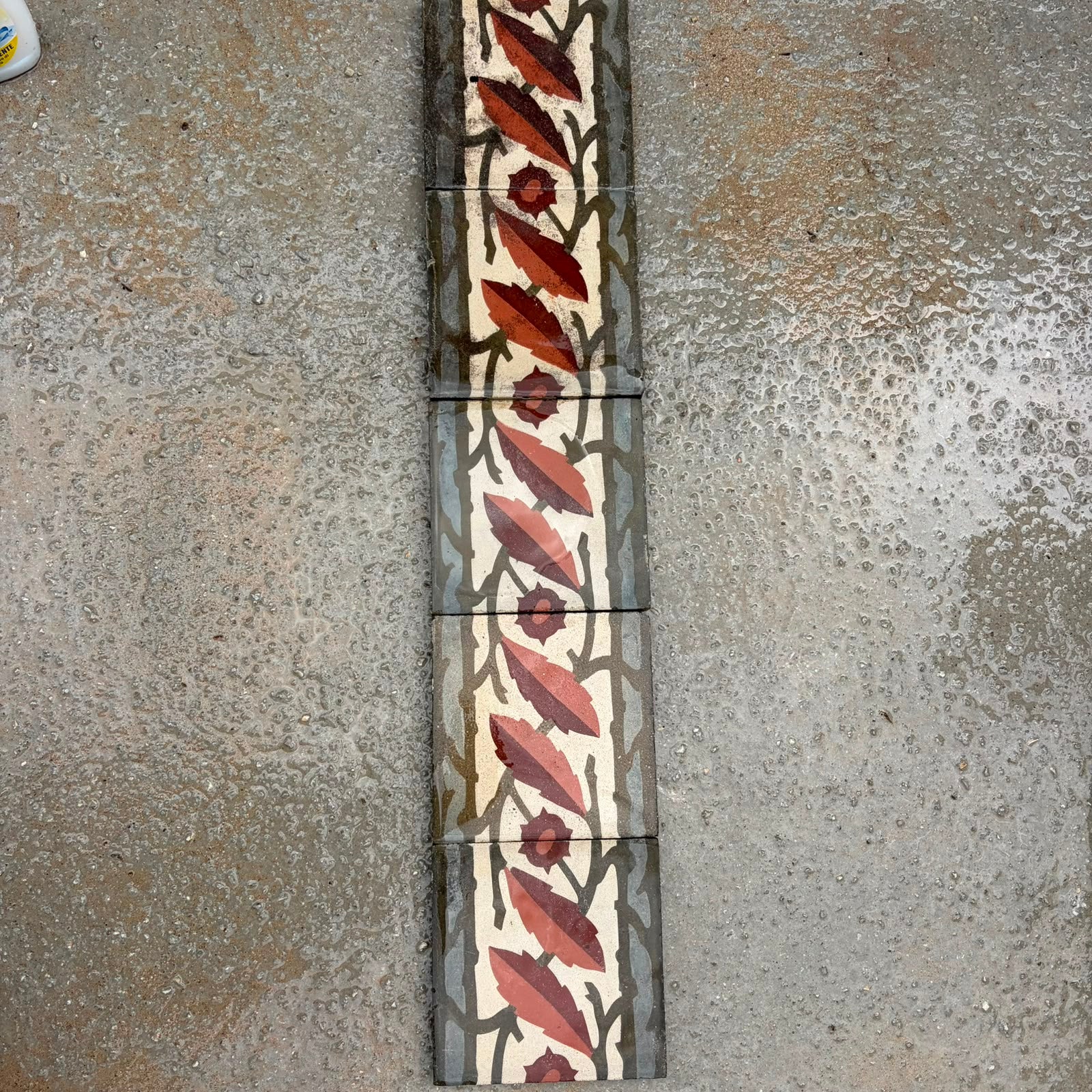 cementine decoro autunnale
