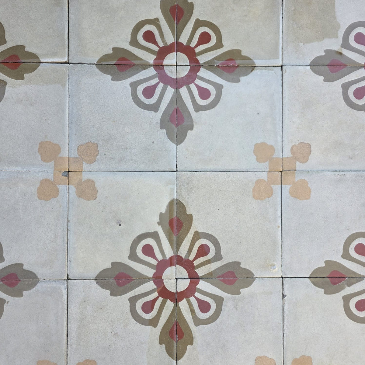 cementine dettagli