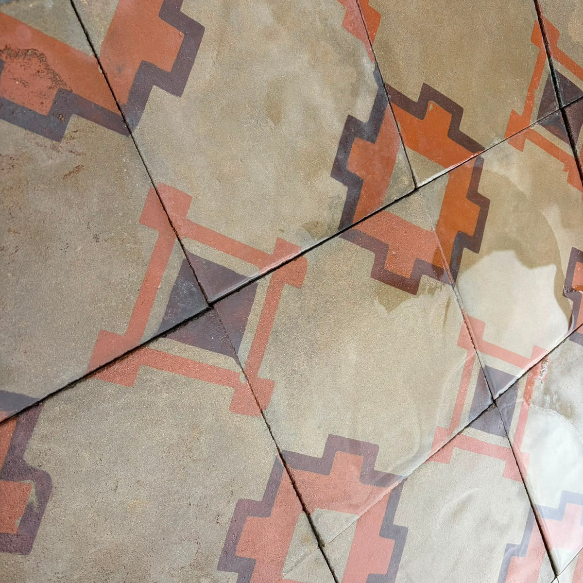 cementine dettaglio decoro