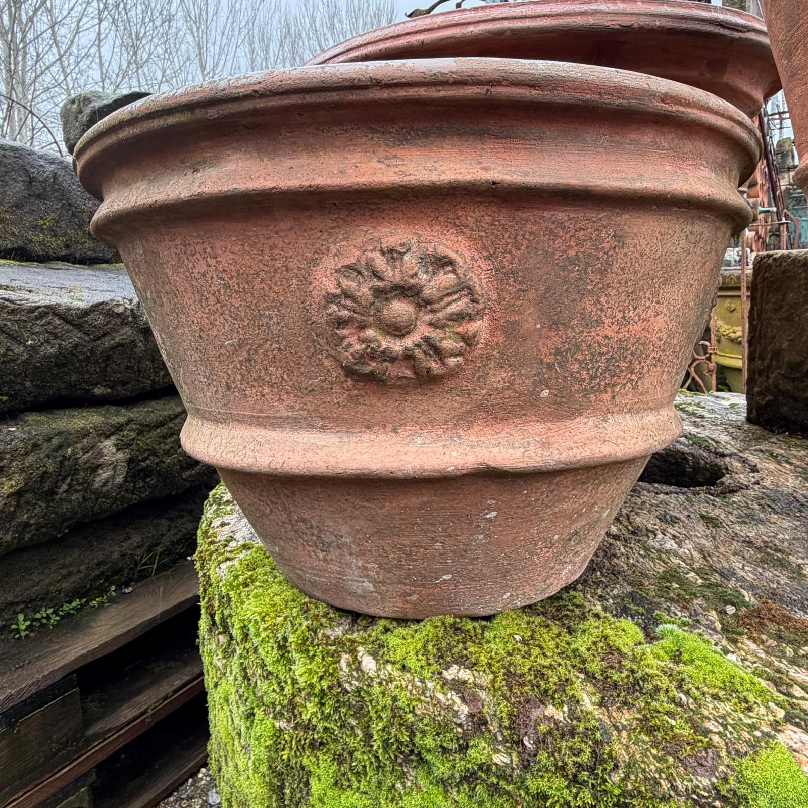 conca in cotto diametro 55 cm 