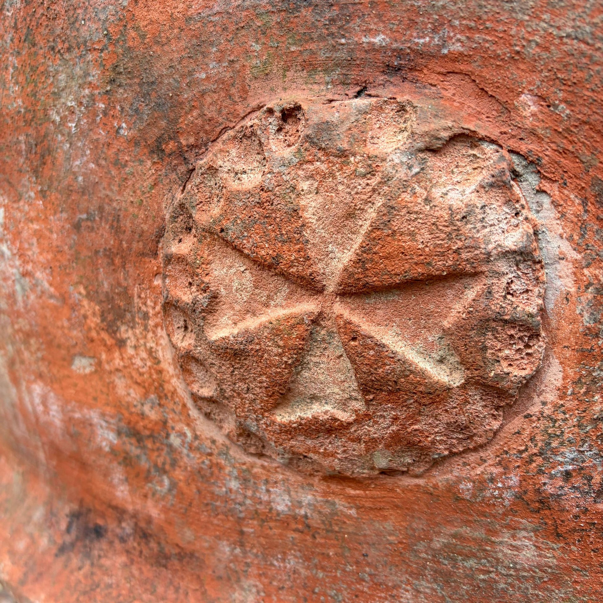 conca in terracotta dettaglio fiore