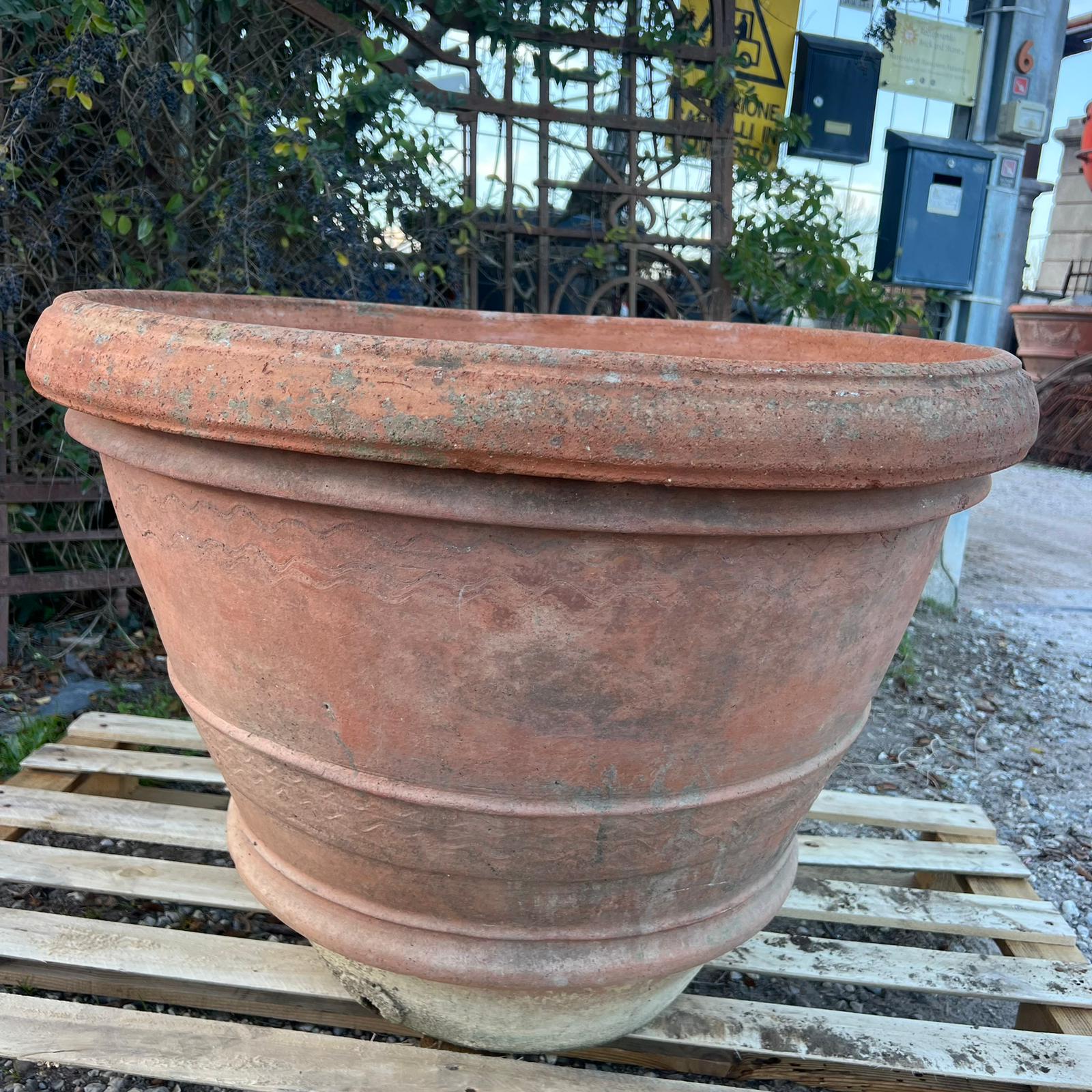 conca terracotta diametro 80cm