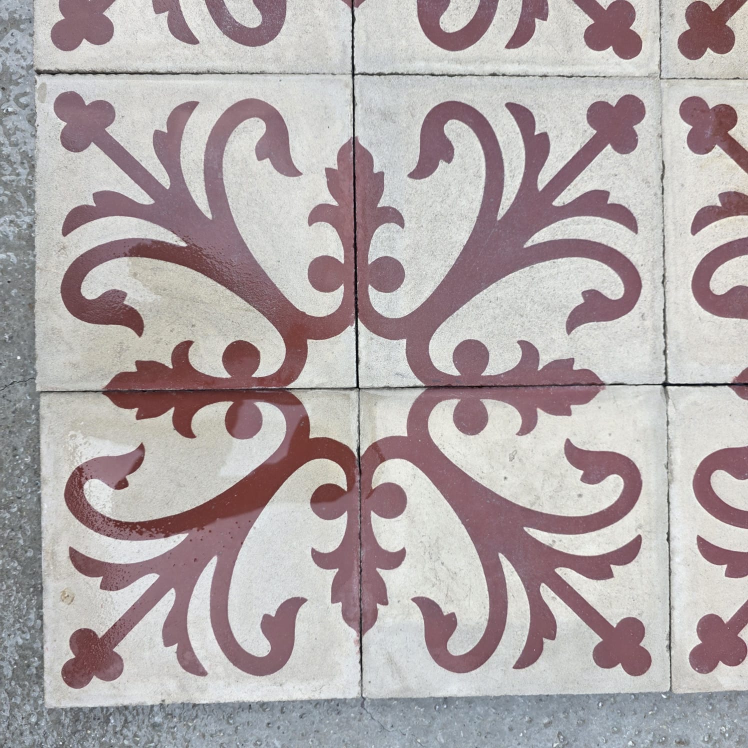 dettaglio cementine fiorite rosse