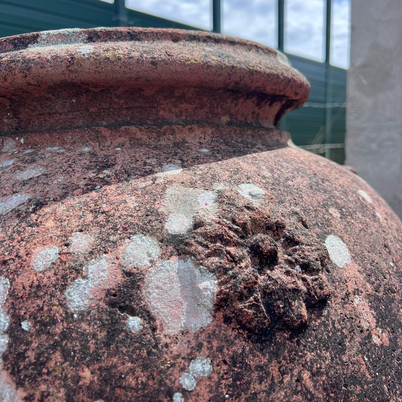 dettaglio fiore orcio terracotta 