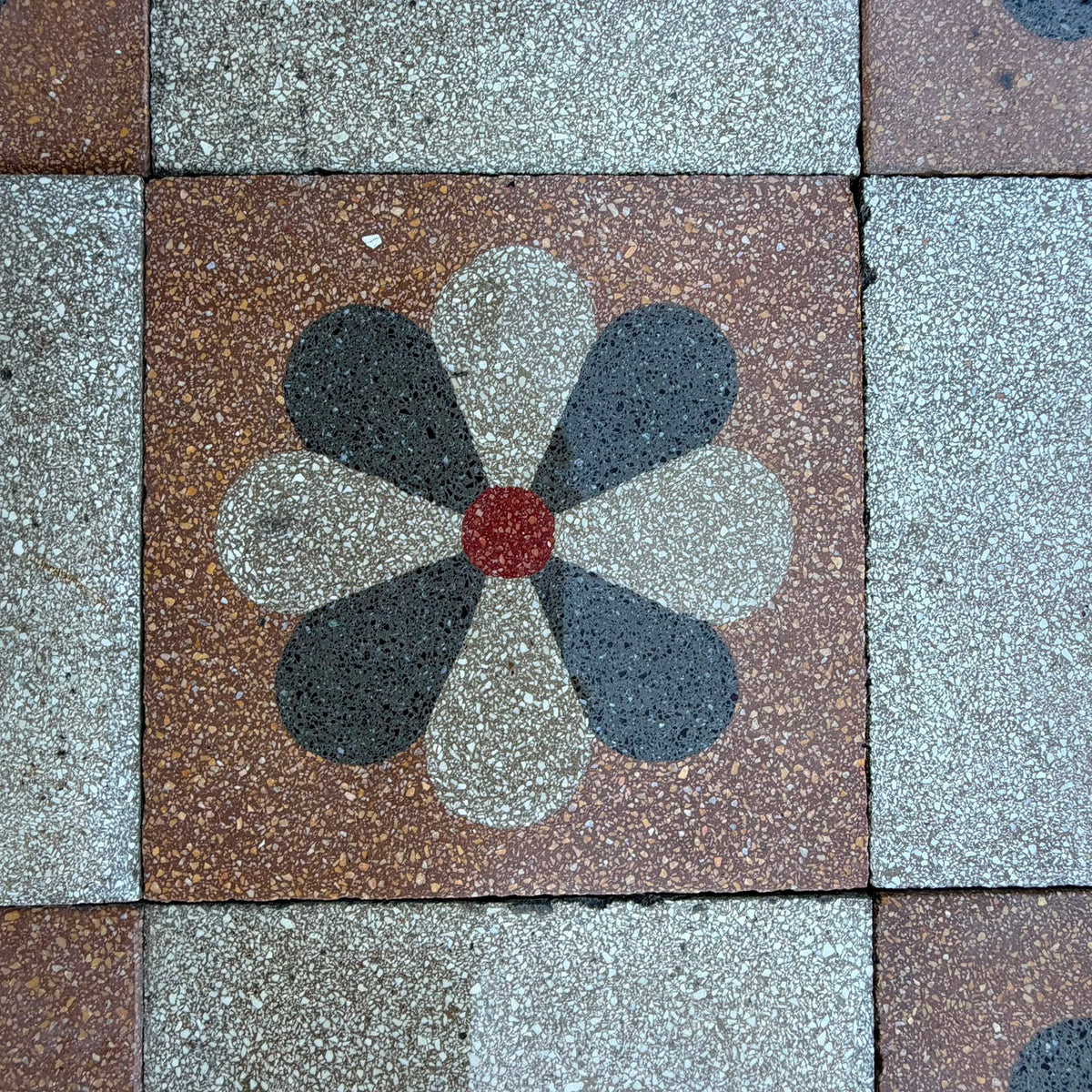 graniglia fiore dettaglio
