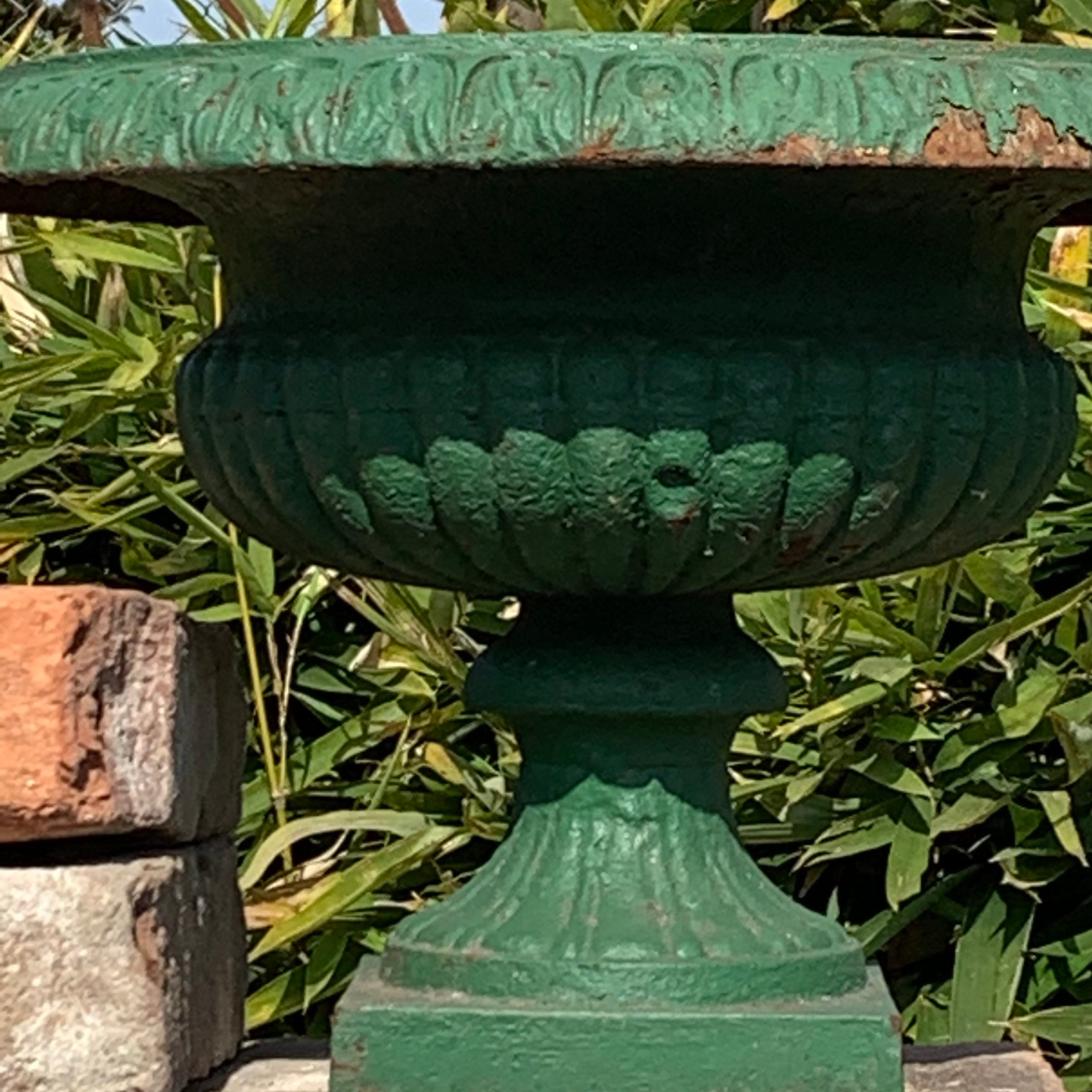 Pair of antique vases