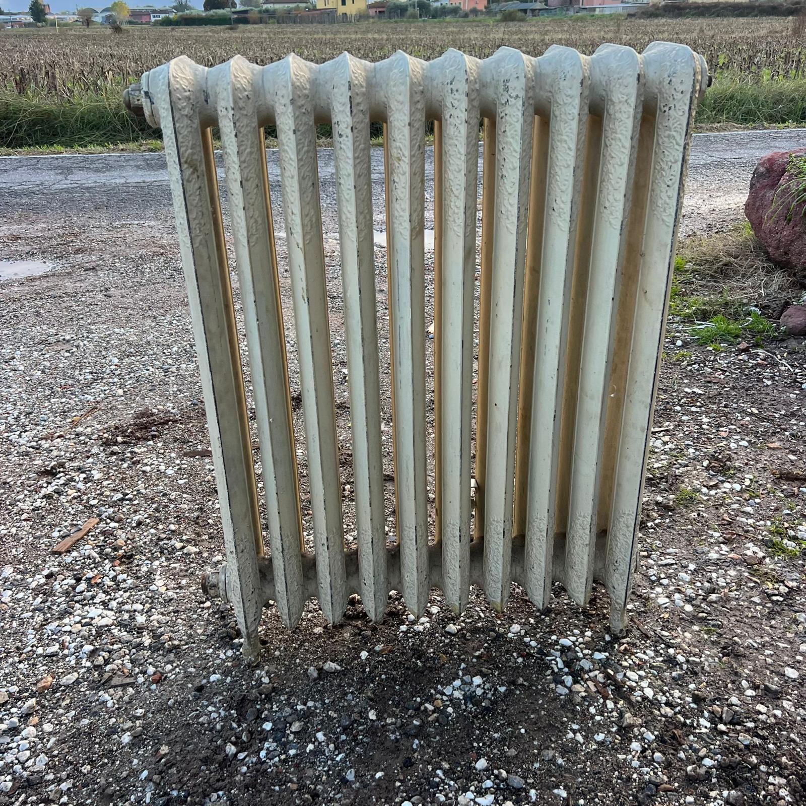 termosifone 10 elementi