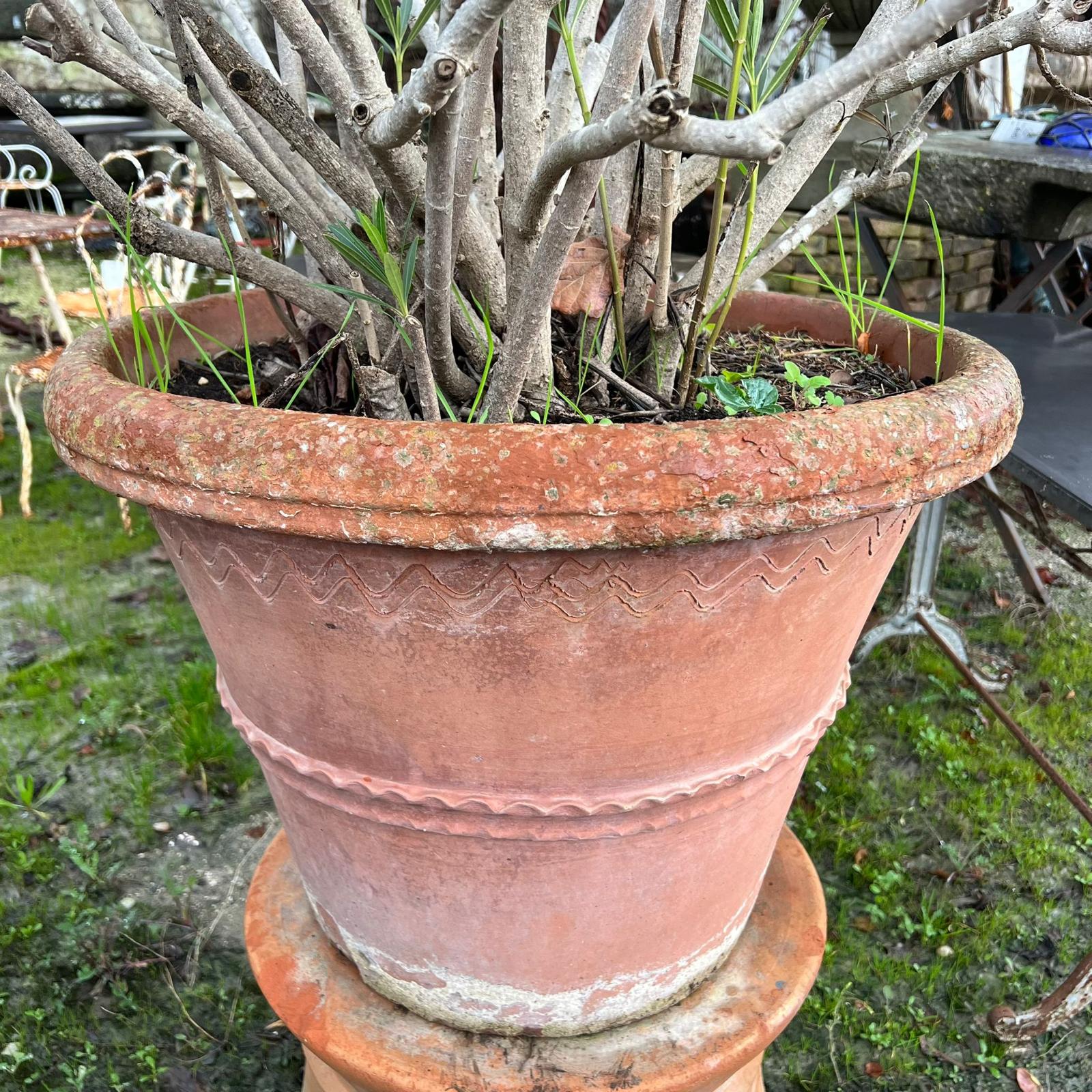 vasi in terracotta
