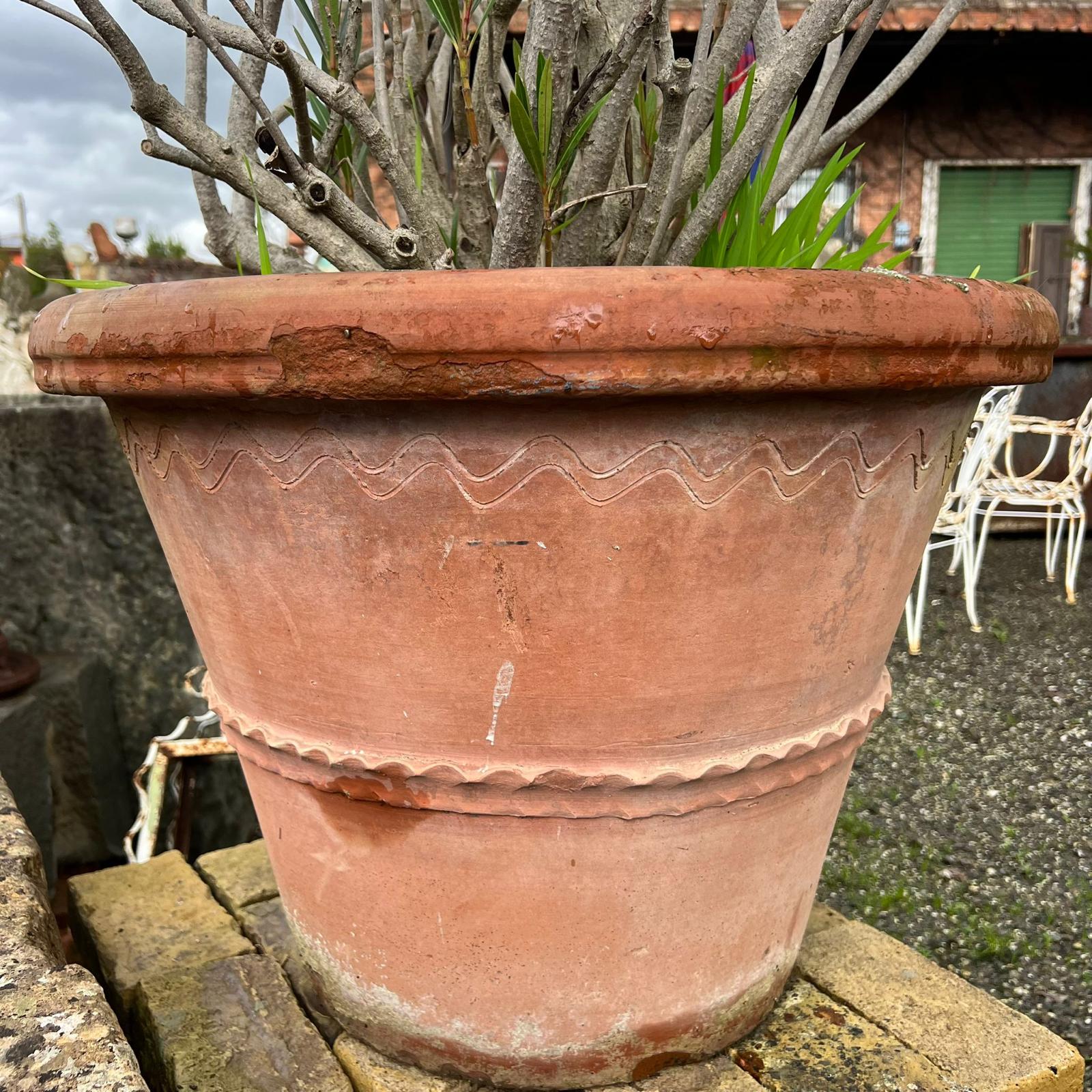 vasi terracotta