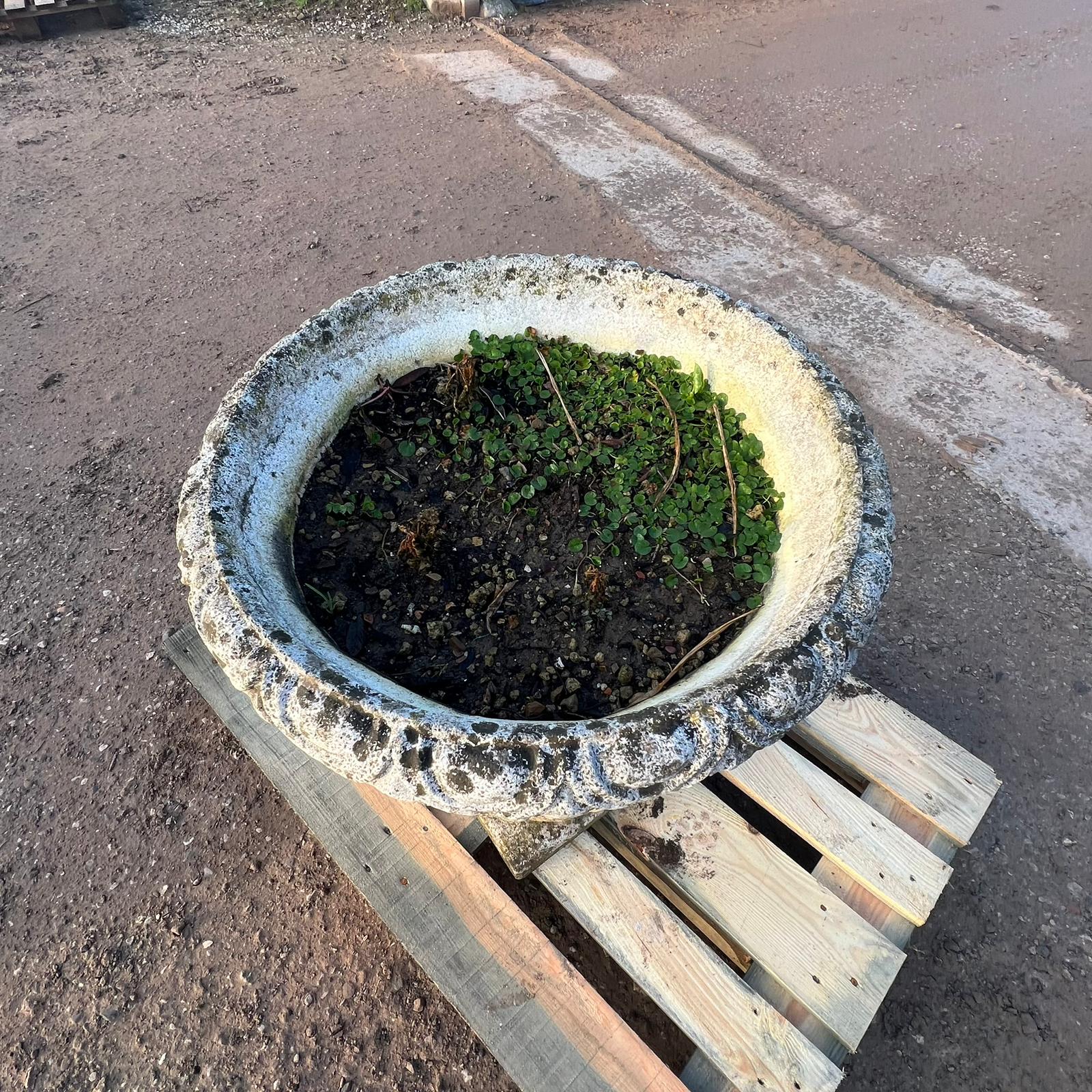 vaso in cemento interno 